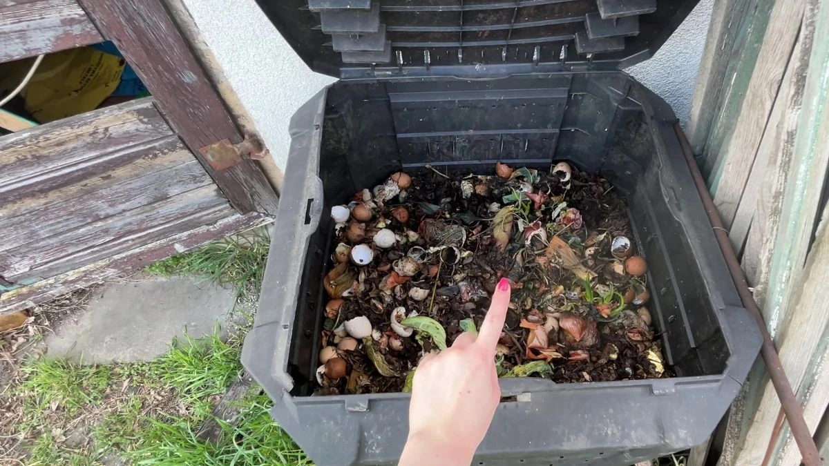 Jak używać kompostu w ogrodzie?