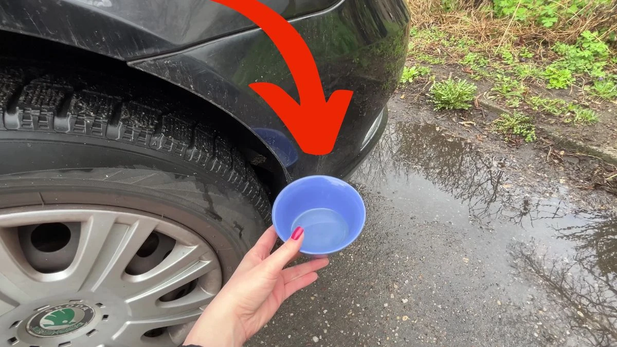 Jak usunąć rysy na samochodzie?