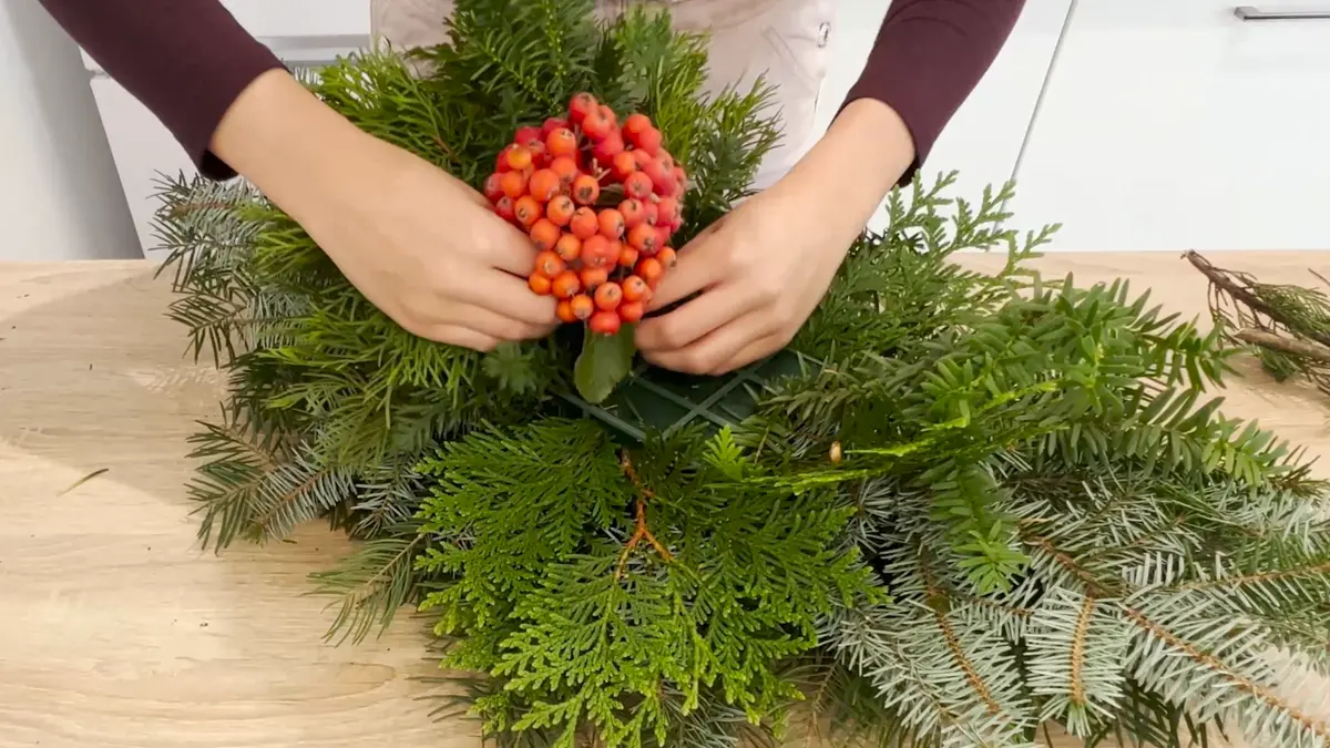 Mocowanie czerwonej jarzębiny w gąbce florystycznej wśród zielonych gałązek świerku