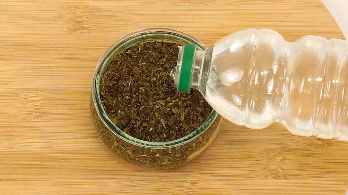 Naturalny sposób na pozbycie się owadów z domu