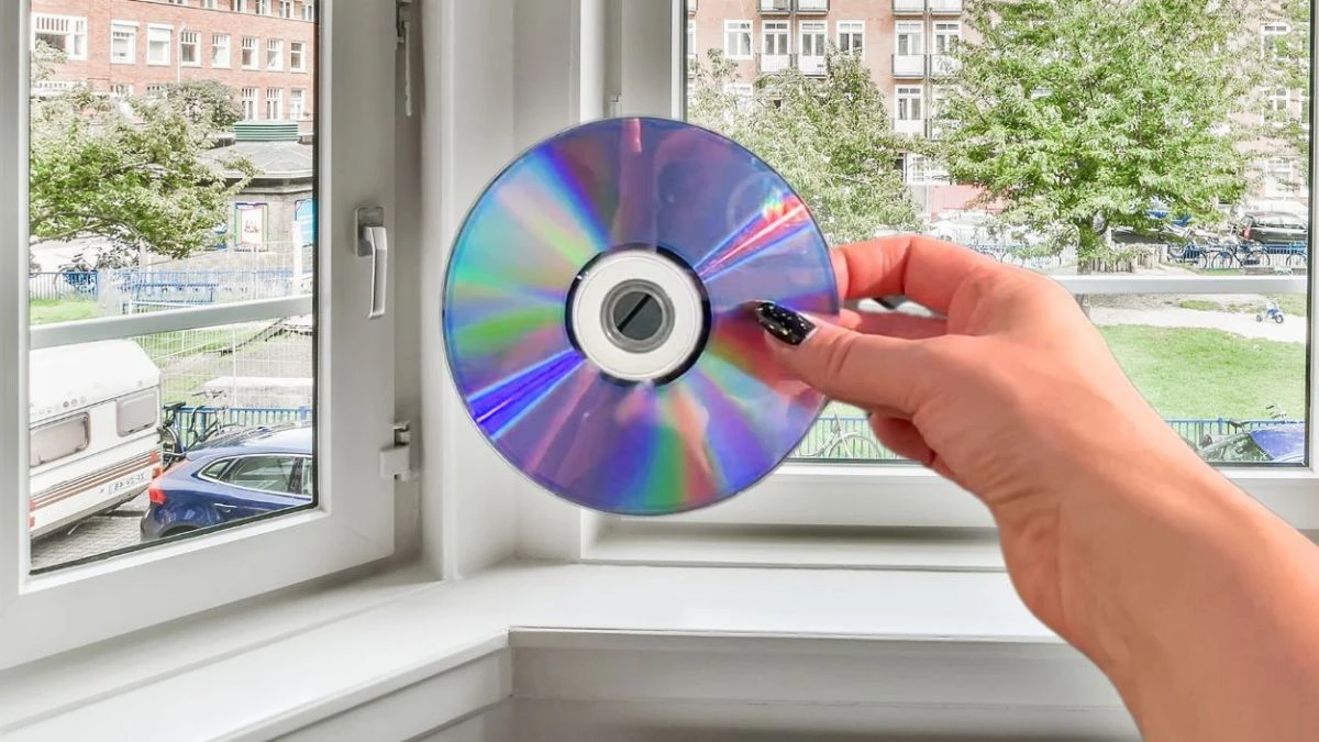 Powieś płytę CD na oknie. Jak pozbyć się robaków z domu?