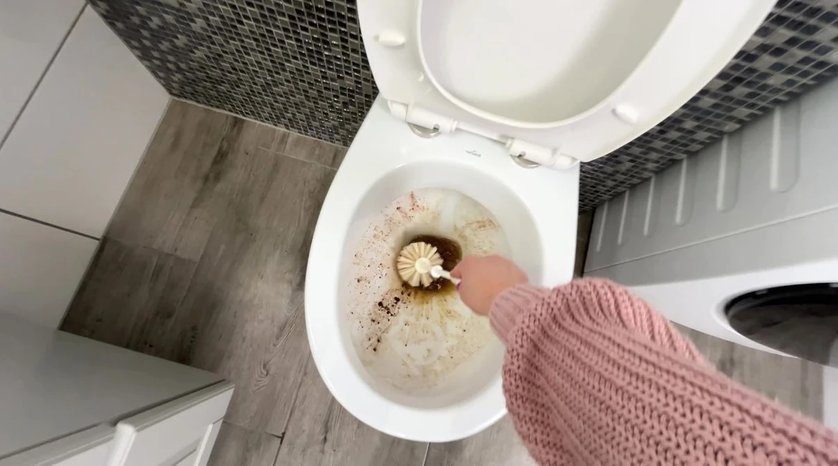 Czym szorować toaletę?
