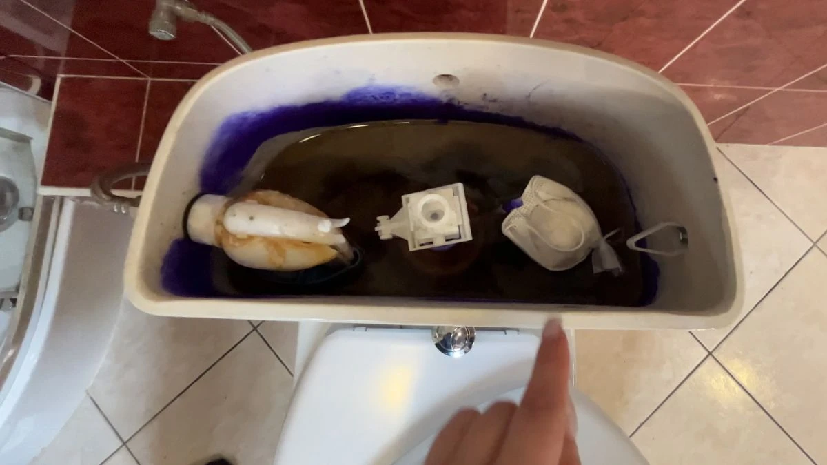 Włóż do spłuczki, żeby odświeżyć toaletę