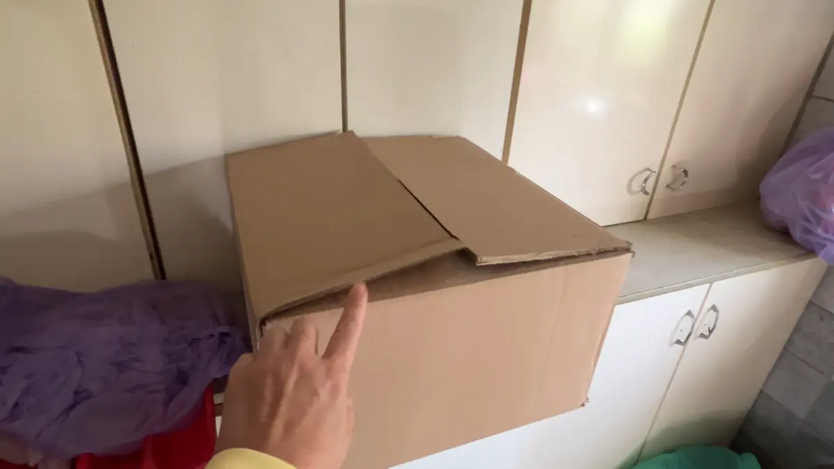 Kartonowe pudełko z zimującymi pelargoniami postawione w chłodnej piwnicy