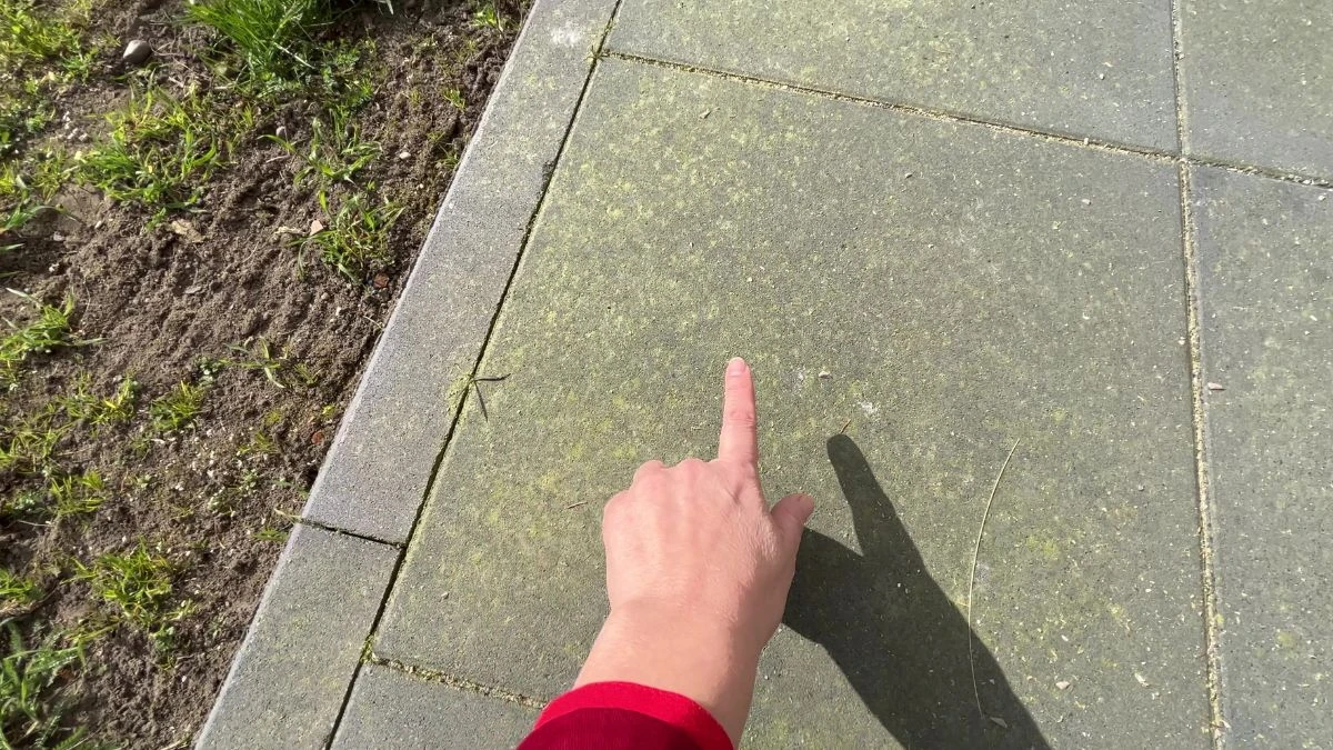 Jak pozbyć się mchu z kostki brukowej?