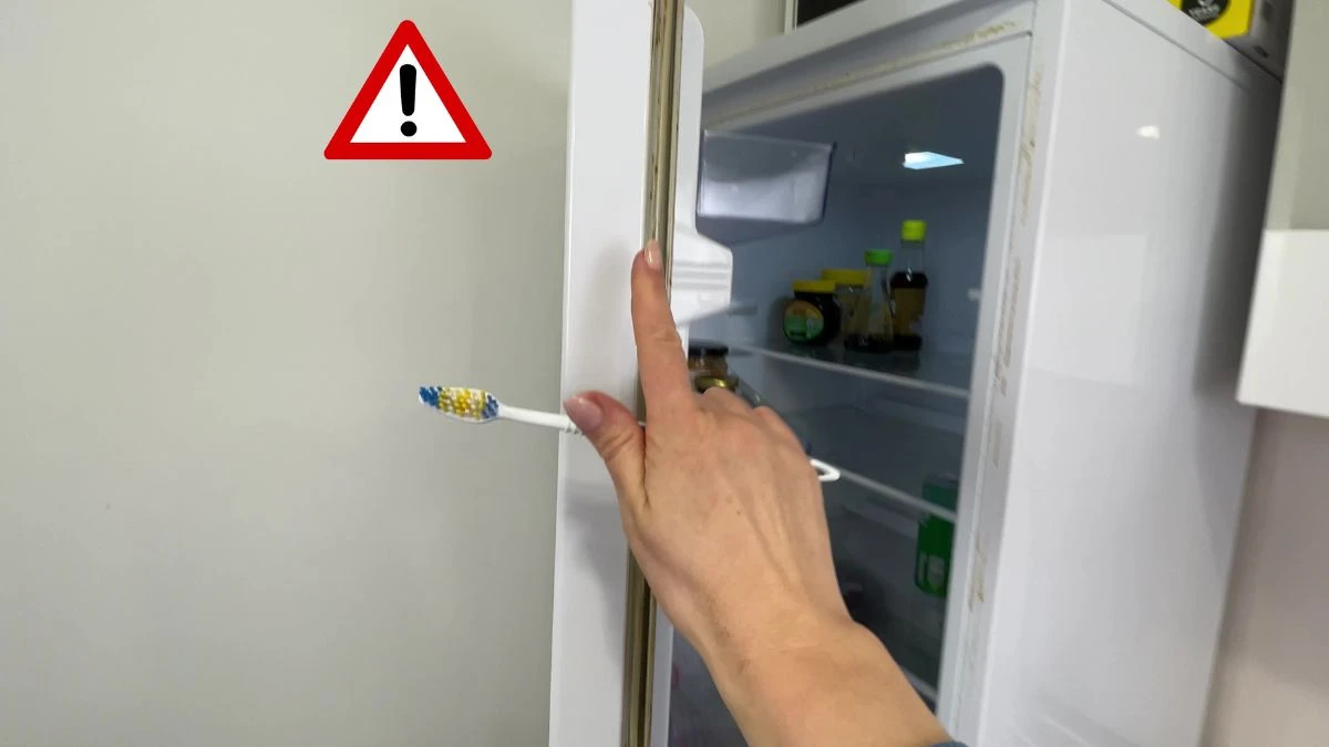 Nie używaj szczoteczki do zębów do mycia uszczelek w lodó∑ce