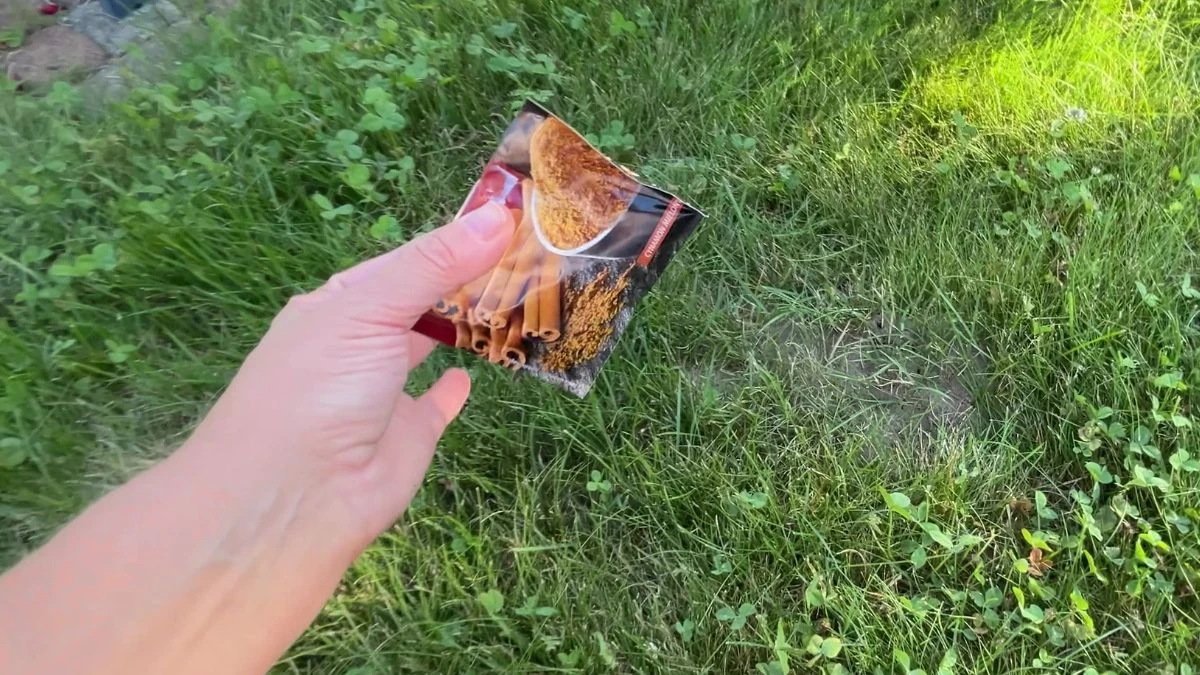 Jak działa cynamon na mrówki?