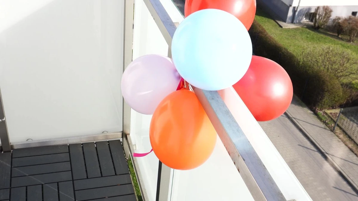 Jak odstraszać gołębie od balkonu i tarasu?