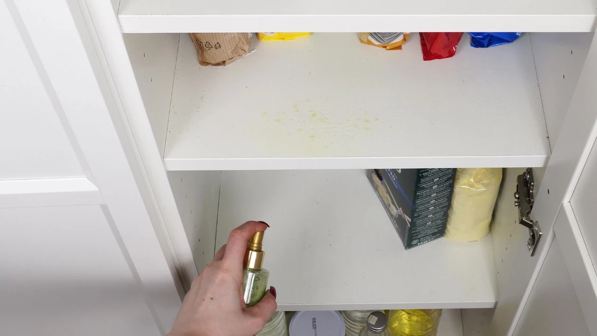Jak stosować spray na mrówki z zielonego ogórka?