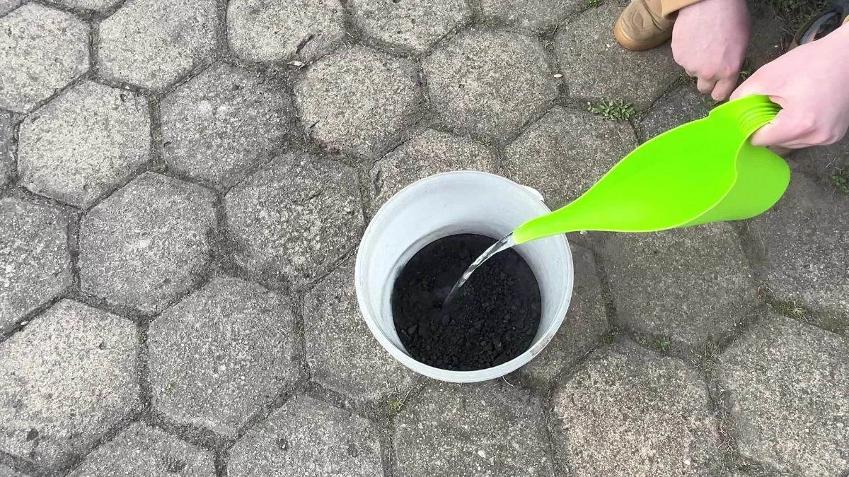 Jak odżywić ziemię w ogrodzie po zimie?