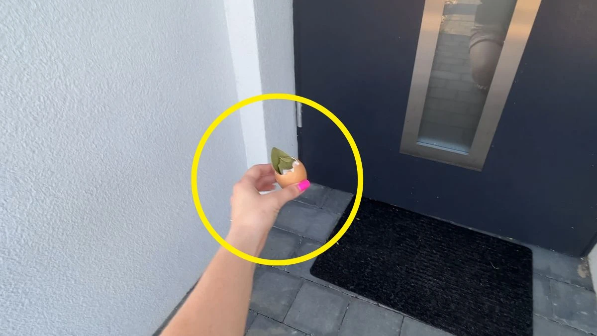 Połóż skorupkę jajka z liściem laurowym pod drzwi