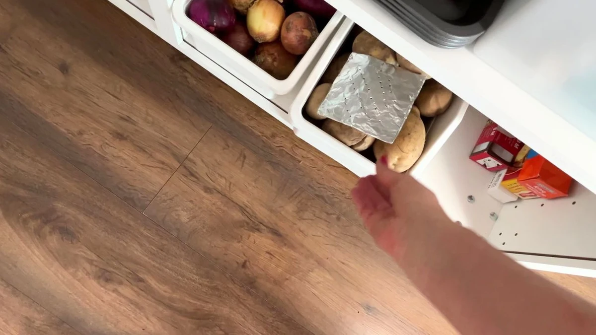 jak pozbyć się moli w kuchni