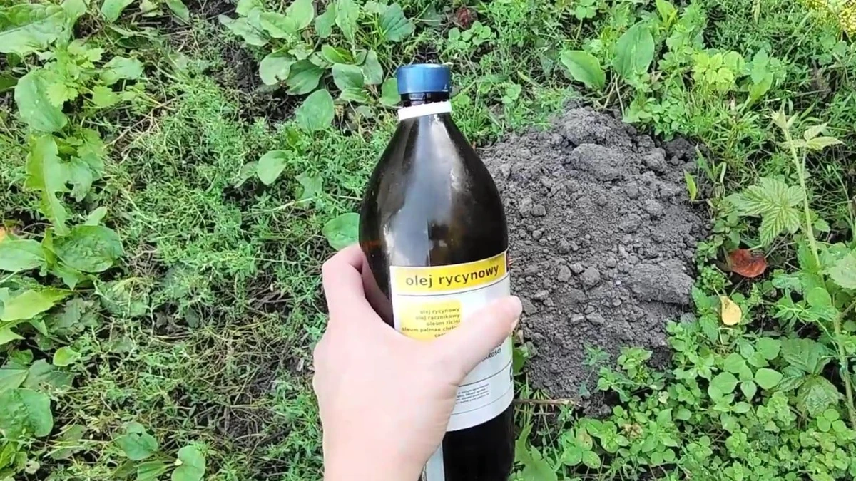 Czy olej cytrynowy odstrasza krety?