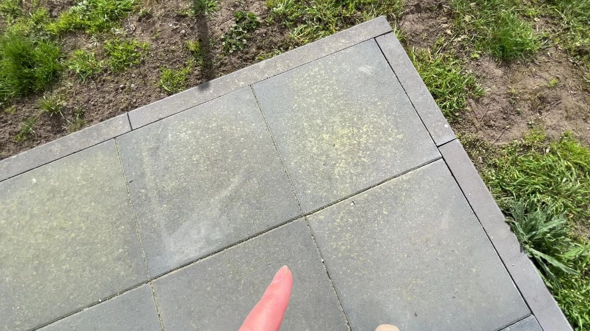Jak zapobiegać powstawaniu mchu na chodniku?