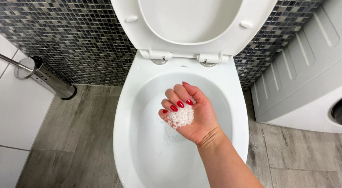 Jak usunąć kamień z muszli toaletowej?