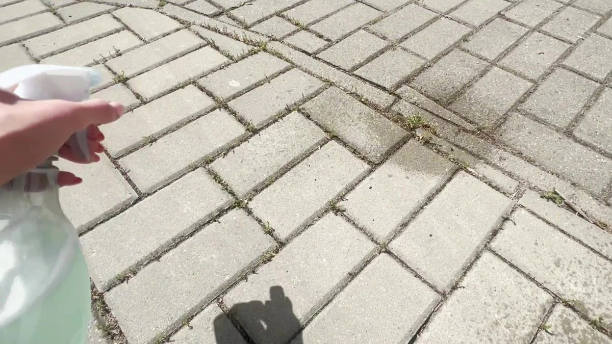 Jak stosować oprysk na chasty?